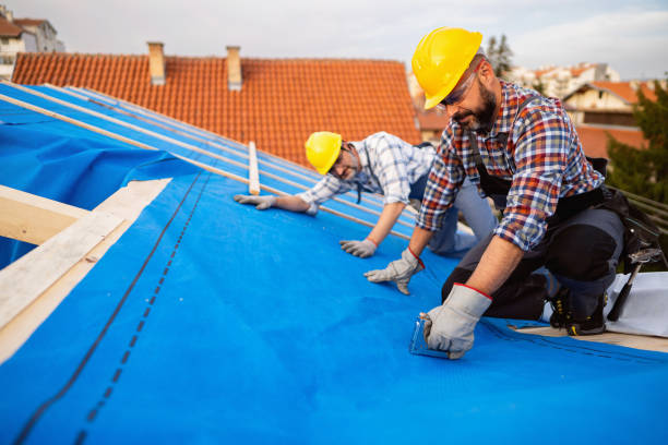 Best Metal Roofing Contractor  in St Ansgar, IA